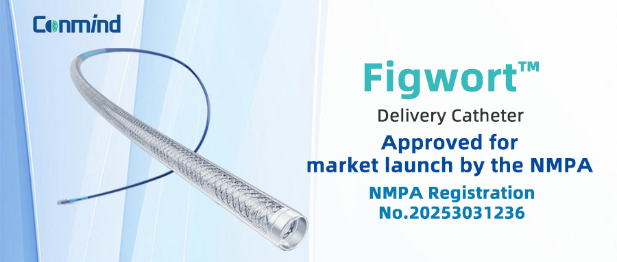 Figwort™ Delivery Catheter Approved for Market Launch in China